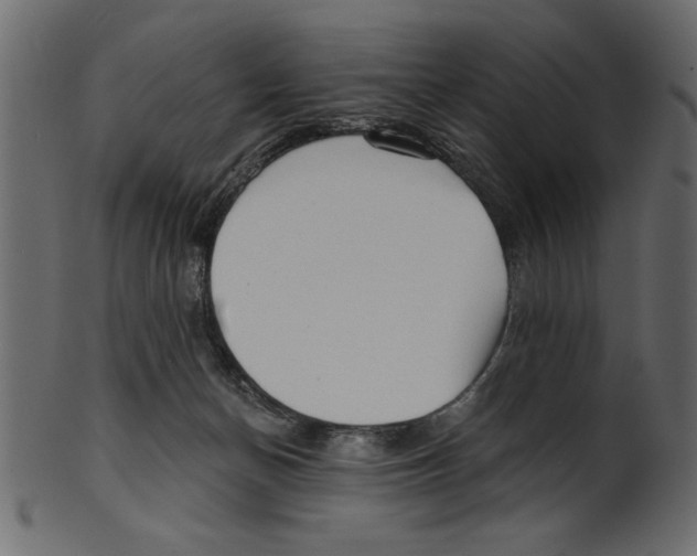 X0000100870174200807181244