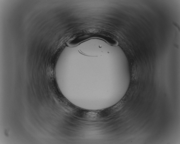 X0000100870176200807181244