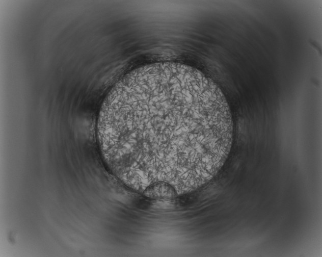 X0000100870177200807181245