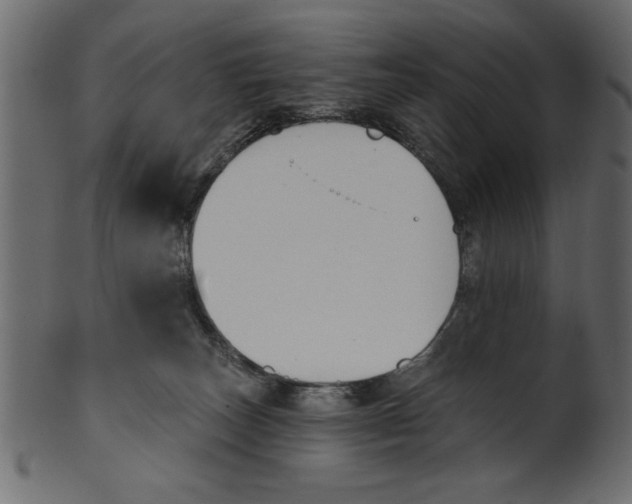 X0000100870179200807181245