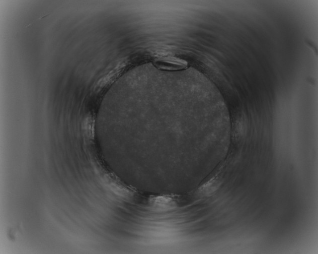 X0000100870180200807181245