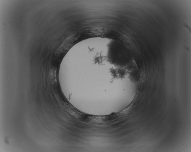 X0000100870182200807181245
