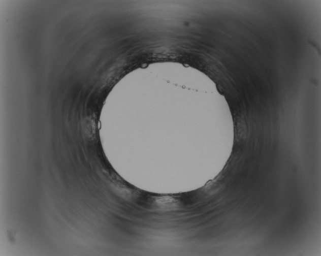 X0000100870183200807181245
