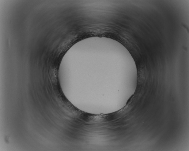 X0000100870184200807181245