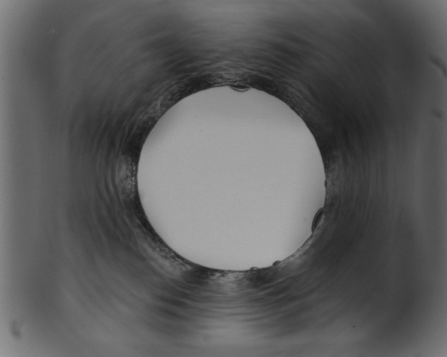 X0000100870186200807181245