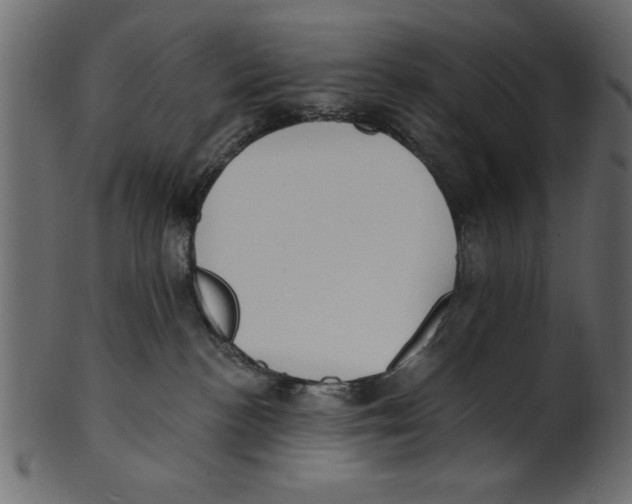 X0000100870188200807181245