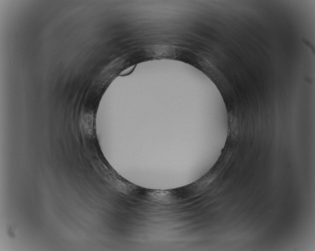 X0000100870189200807181245