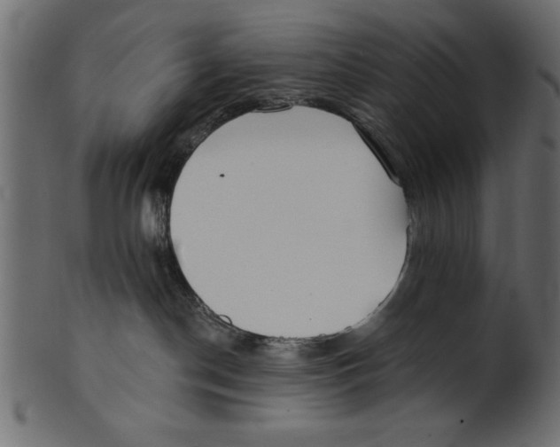 X0000100870190200807181245