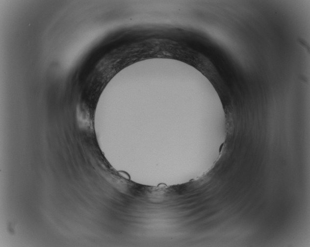 X0000100870191200807181245