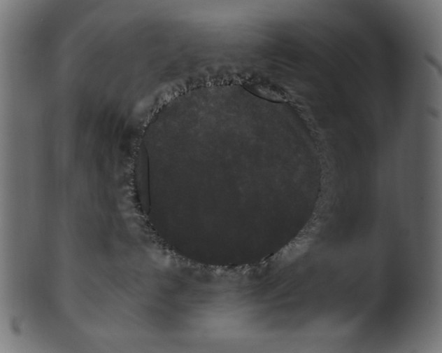 X0000100870192200807181245