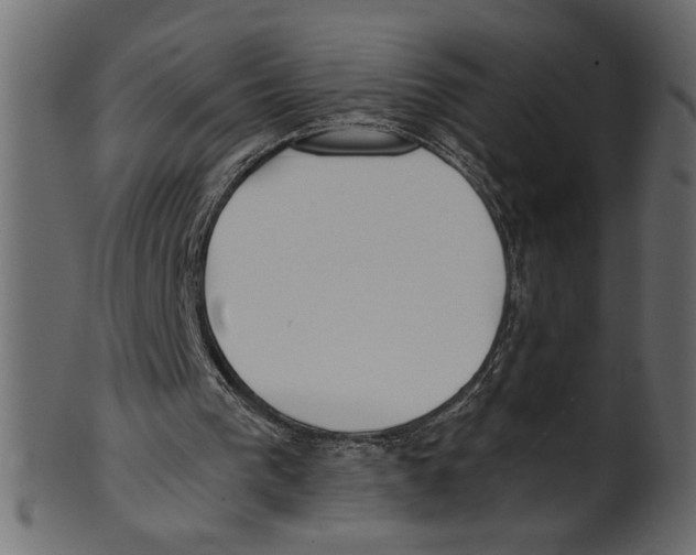 X0000100870193200807181244