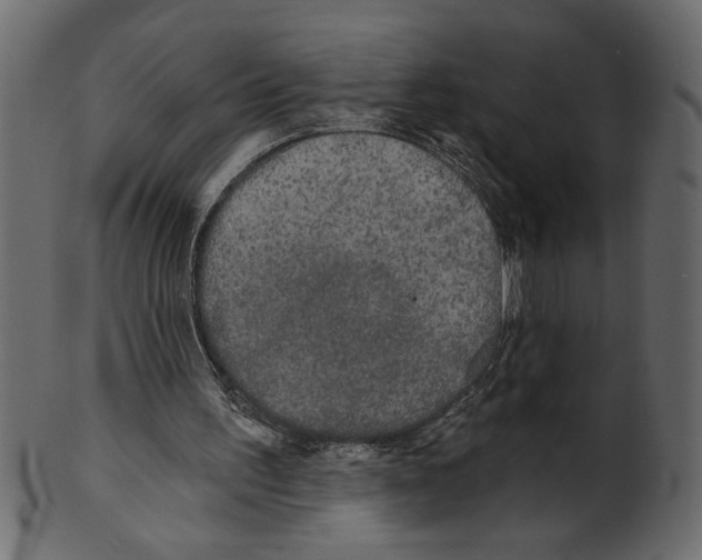 X0000100870195200807181244