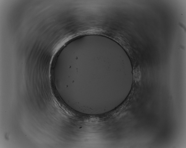 X0000100870196200807181244