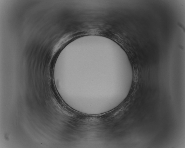 X0000100870198200807181244