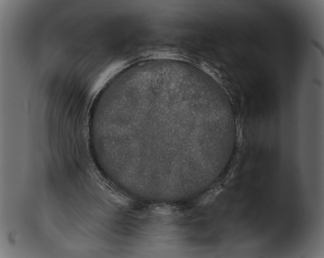 X0000100870199200807181244