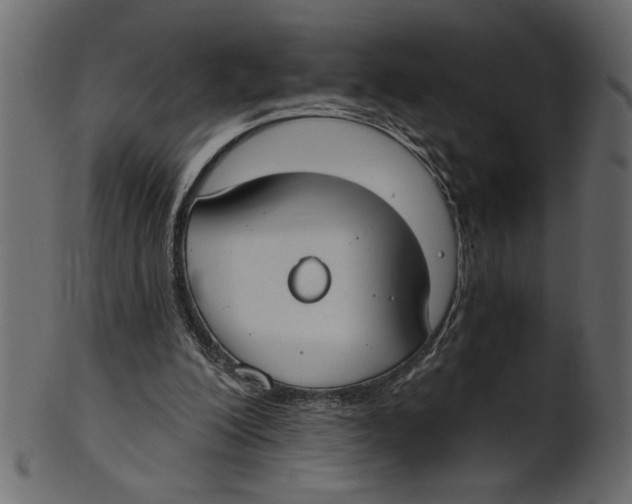X0000100870200200807181244