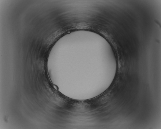 X0000100870201200807181244