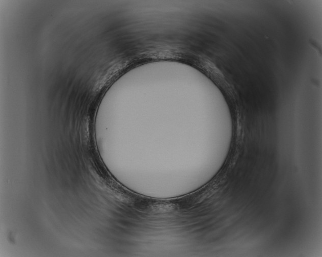 X0000100870202200807181244