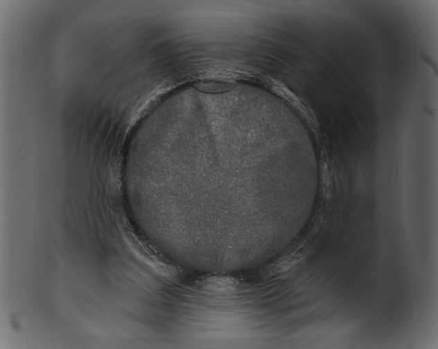 X0000100870203200807181244