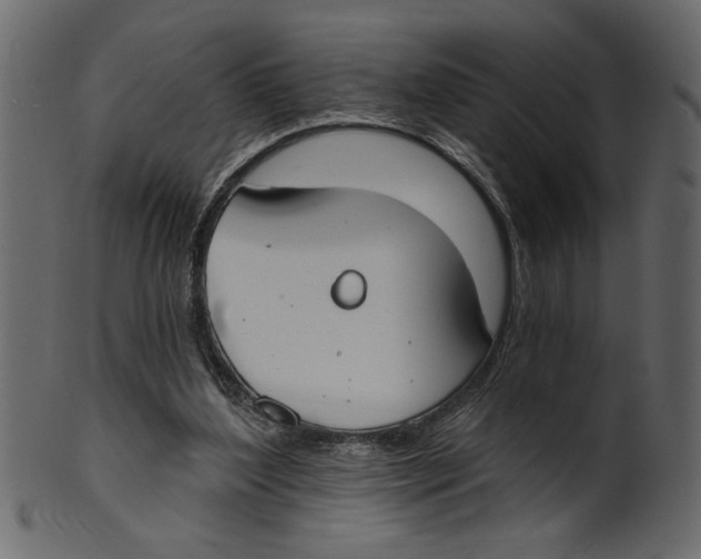 X0000100870204200807181244