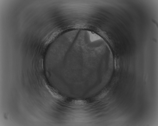 X0000100870205200807181244