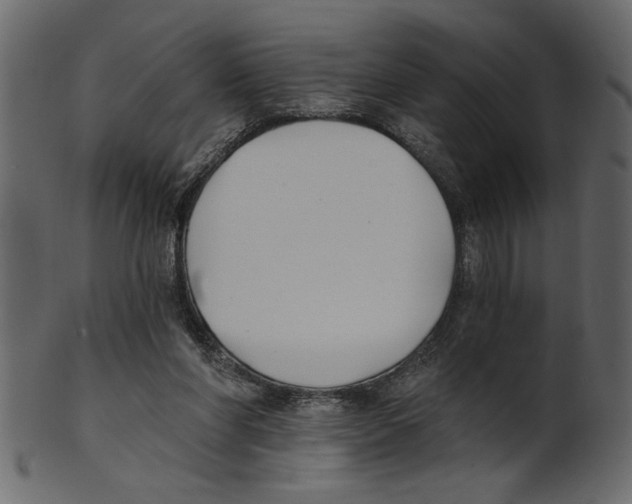 X0000100870206200807181244