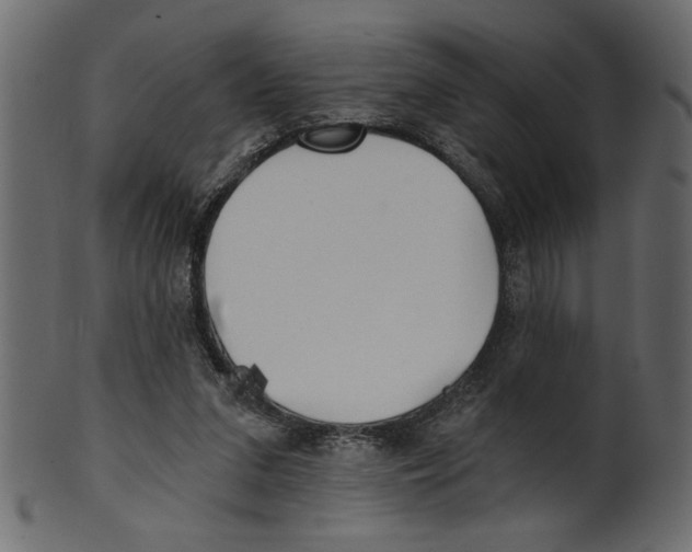 X0000100870207200807181244