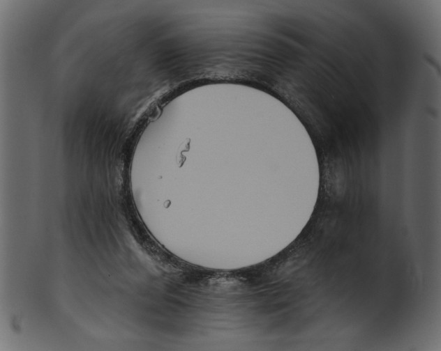 X0000100870208200807181244