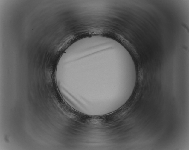 X0000100870209200807181244
