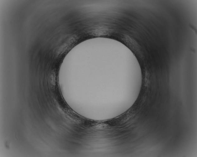 X0000100870210200807181244