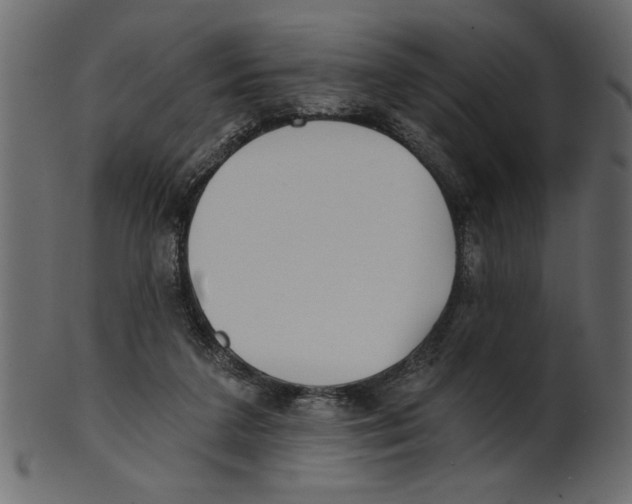 X0000100870211200807181244