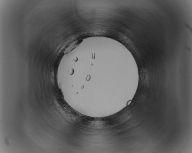 X0000100870212200807181244