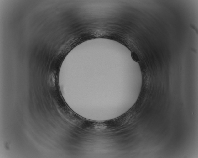 X0000100870214200807181244