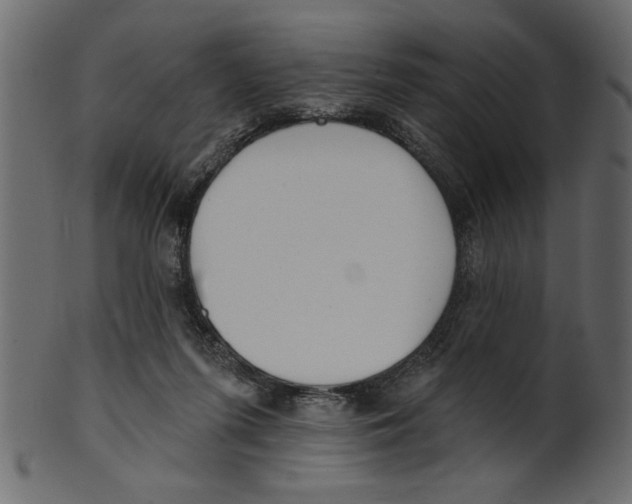X0000100870215200807181244