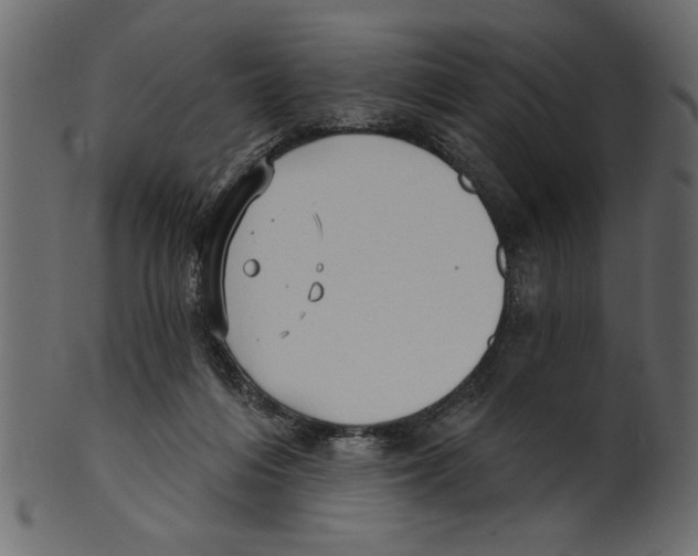 X0000100870216200807181244