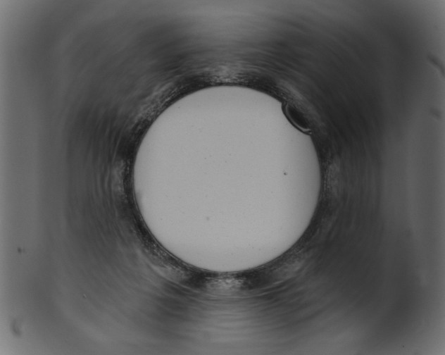 X0000100870217200807181244