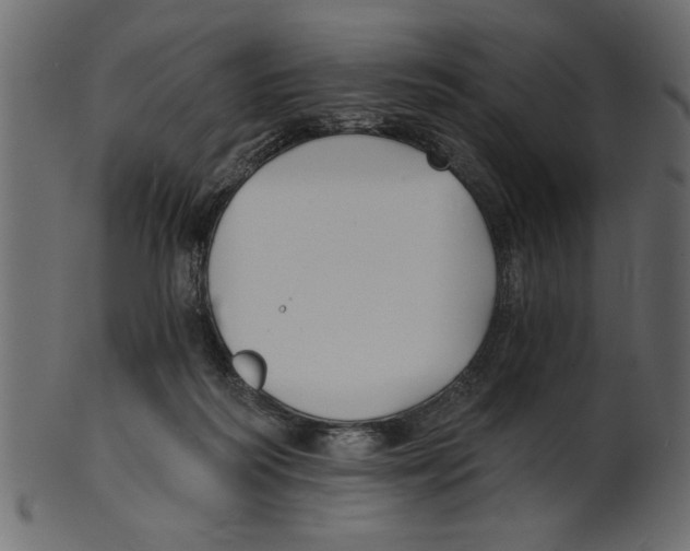 X0000100870218200807181244