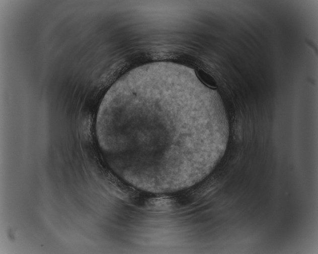 X0000100870219200807181244