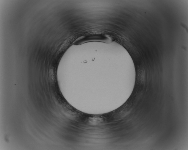 X0000100870220200807181244