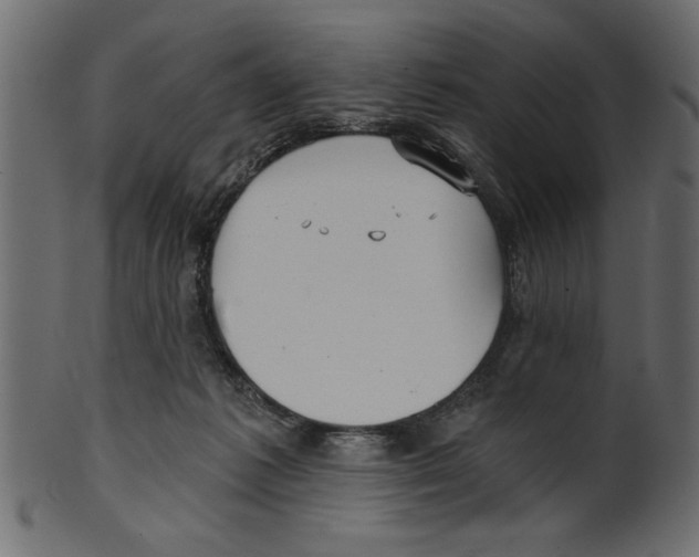 X0000100870221200807181244