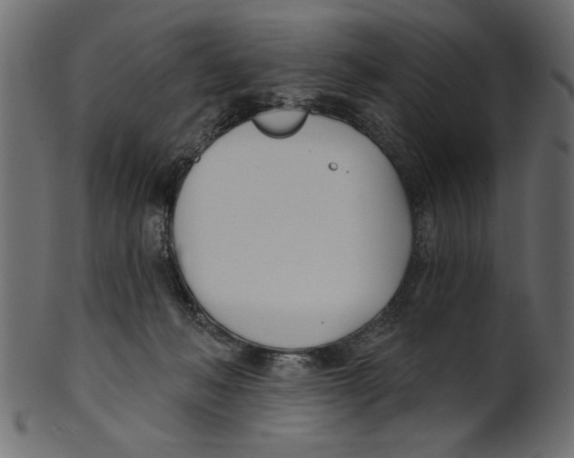 X0000100870222200807181244