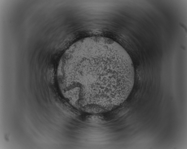 X0000100870223200807181244