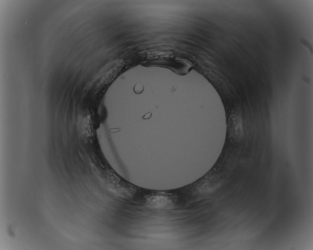 X0000100870224200807181244