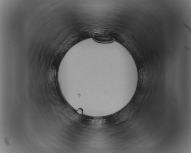 X0000100870225200807181244