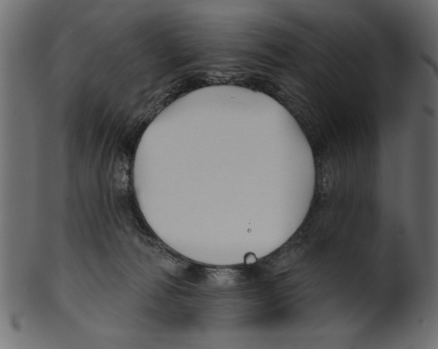 X0000100870226200807181244