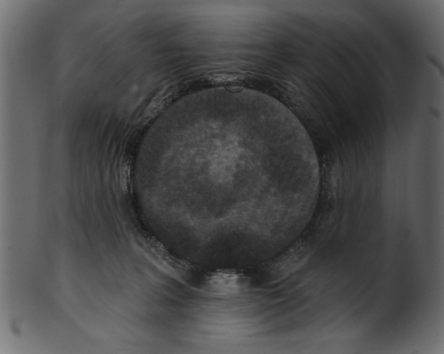 X0000100870227200807181244