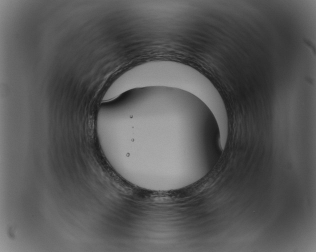 X0000100870228200807181244