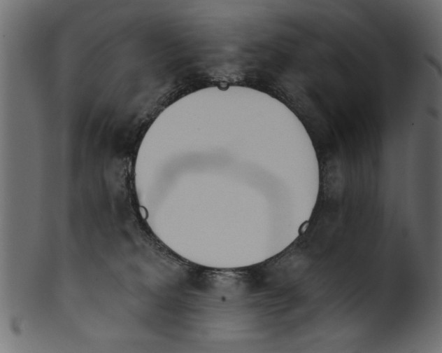X0000100870229200807181244