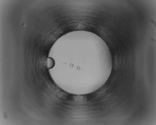 X0000100870230200807181244