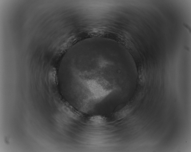 X0000100870231200807181244